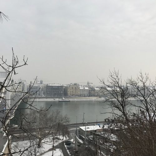 Dunare si Podul Elisabeta
