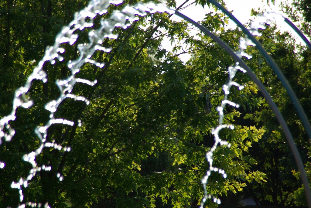droplets