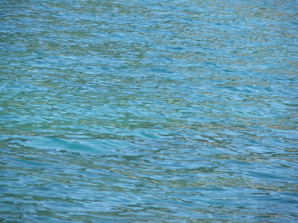 mare