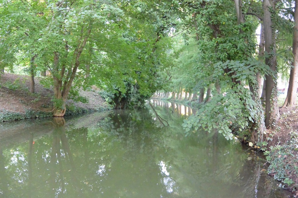 Gyula