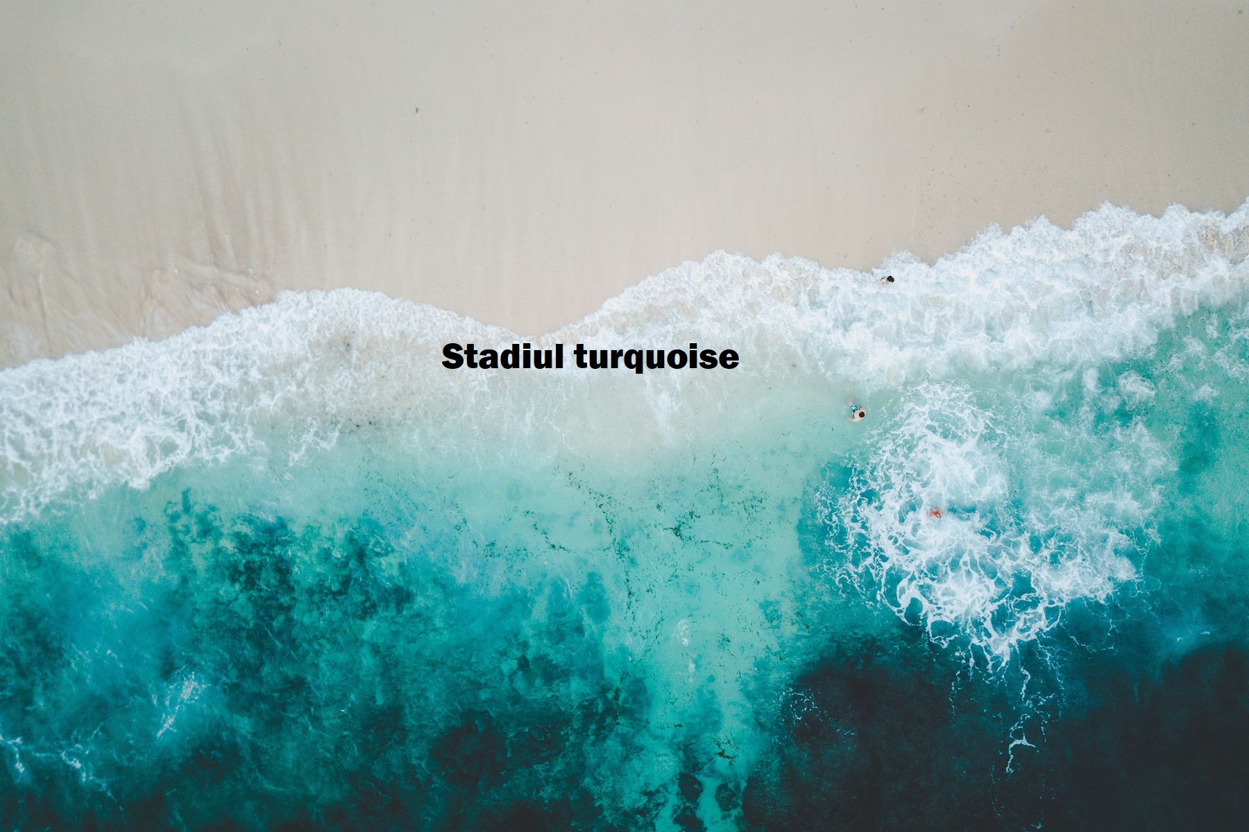 Stadiul turquoise